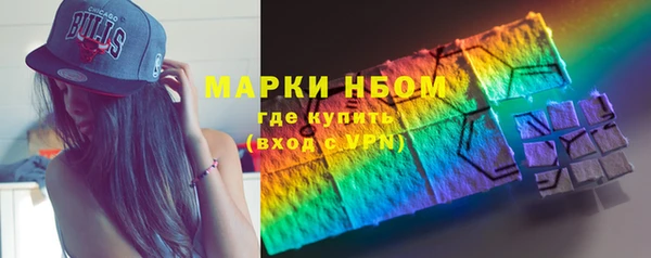 молекула духа Покров