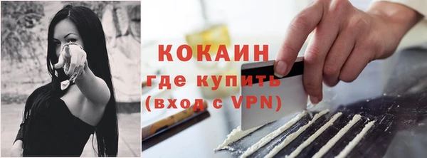 винт Богородицк
